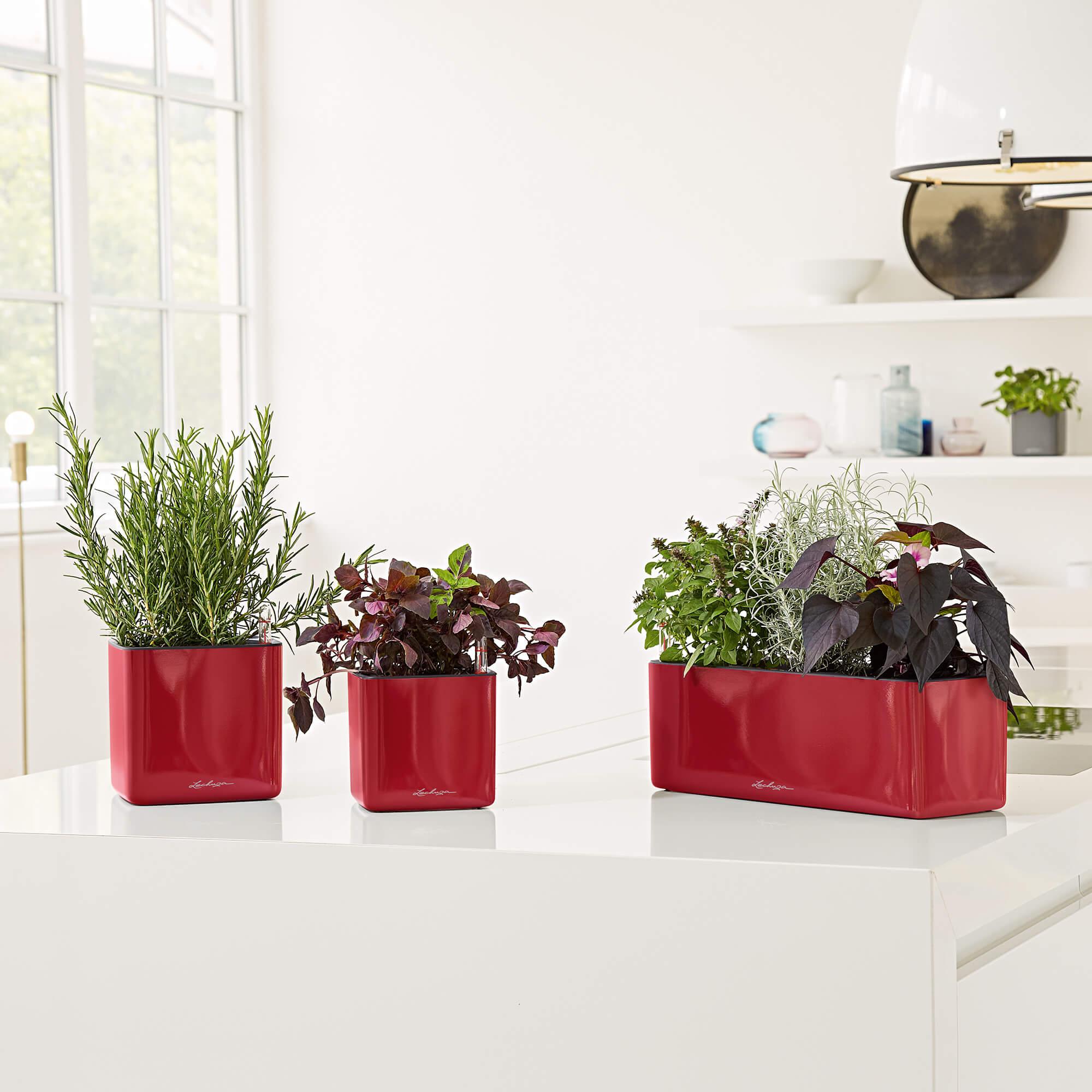 le_cube-glossy_product_addi_04